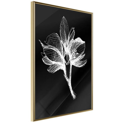 Botanical Wall Art - White Plant-artwork for wall with acrylic glass protection