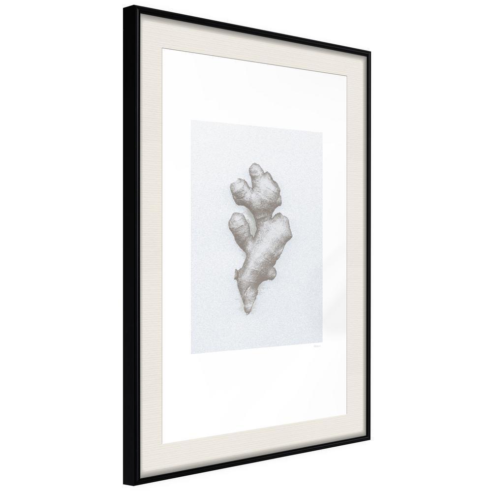 Black and White Framed Poster - Ginger Rhizome-artwork for wall with acrylic glass protection