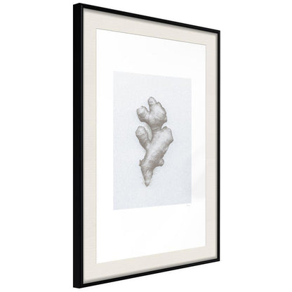 Black and White Framed Poster - Ginger Rhizome-artwork for wall with acrylic glass protection