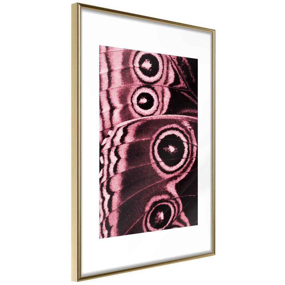 Framed Art - Butterfly Wings-artwork for wall with acrylic glass protection