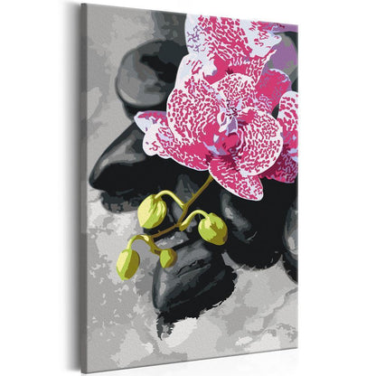 Start learning Painting - Paint By Numbers Kit - Pink Orchid - new hobby