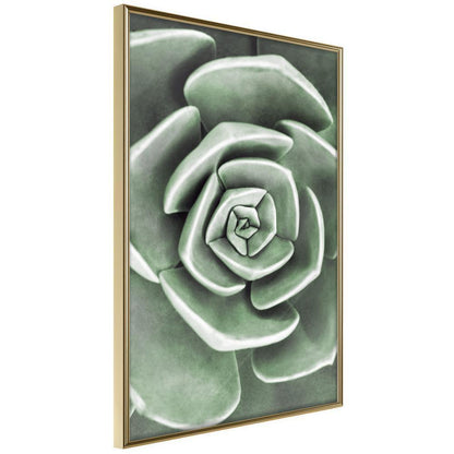 Botanical Wall Art - Robust Plant-artwork for wall with acrylic glass protection
