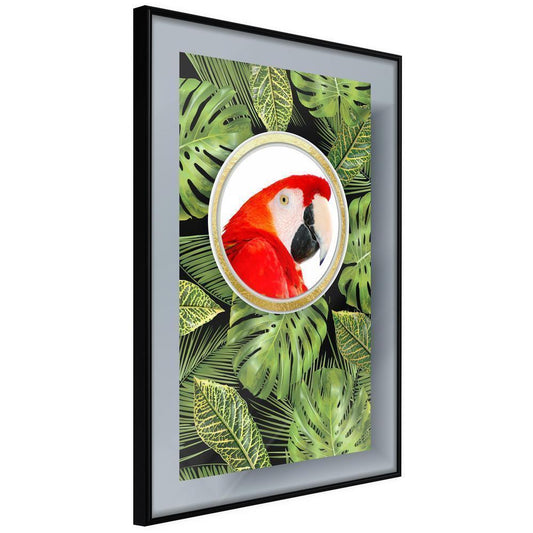 Botanical Wall Art - Parrot Says Hi-artwork for wall with acrylic glass protection