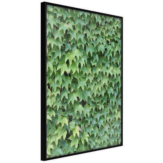 Botanical Wall Art - Hidden-artwork for wall with acrylic glass protection
