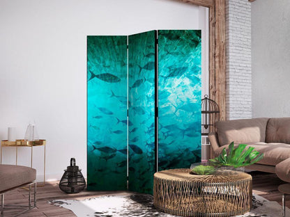 Room Divider - Underwater Paradise - Numerous Shoal of Fish in a Beautiful Turquoise-Blue Depth Illuminated by Sunlight