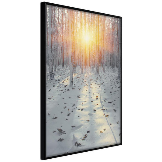 Winter Design Framed Artwork - Frosty Sunset-artwork for wall with acrylic glass protection