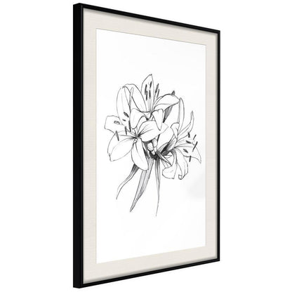 Black and White Framed Poster - Sketch of Lillies-artwork for wall with acrylic glass protection
