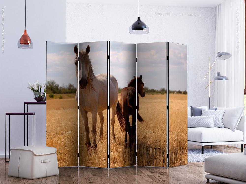 Decorative partition-Room Divider - Horse and foal II-Folding Screen Wall Panel by ArtfulPrivacy