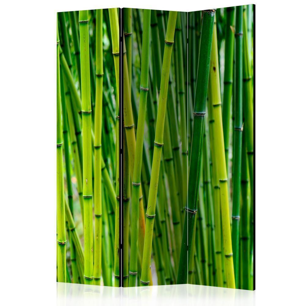 Room Divider - Bamboo Forest