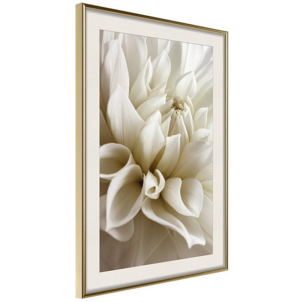 Botanical Wall Art - Peace of Soul-artwork for wall with acrylic glass protection