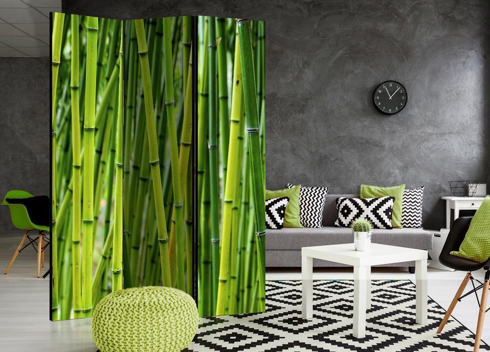 Room Divider - Bamboo Forest