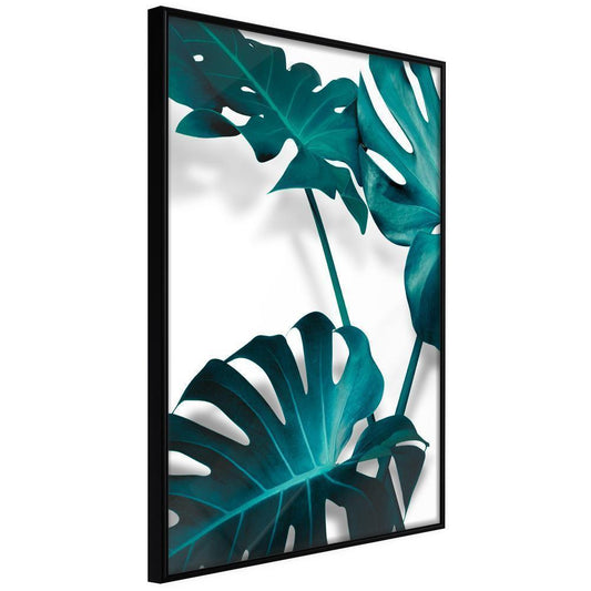 Botanical Wall Art - Turquoise Monstera II-artwork for wall with acrylic glass protection