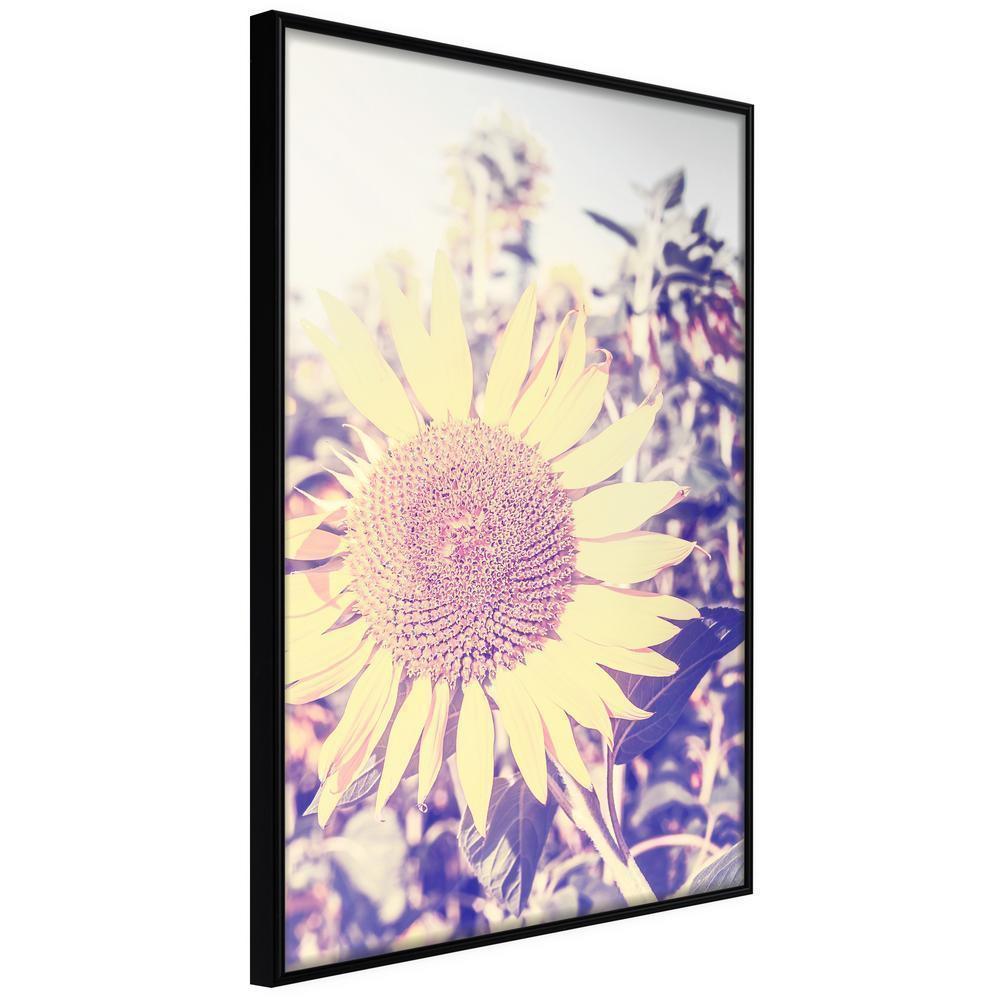 Botanical Wall Art - Facing the Sun-artwork for wall with acrylic glass protection