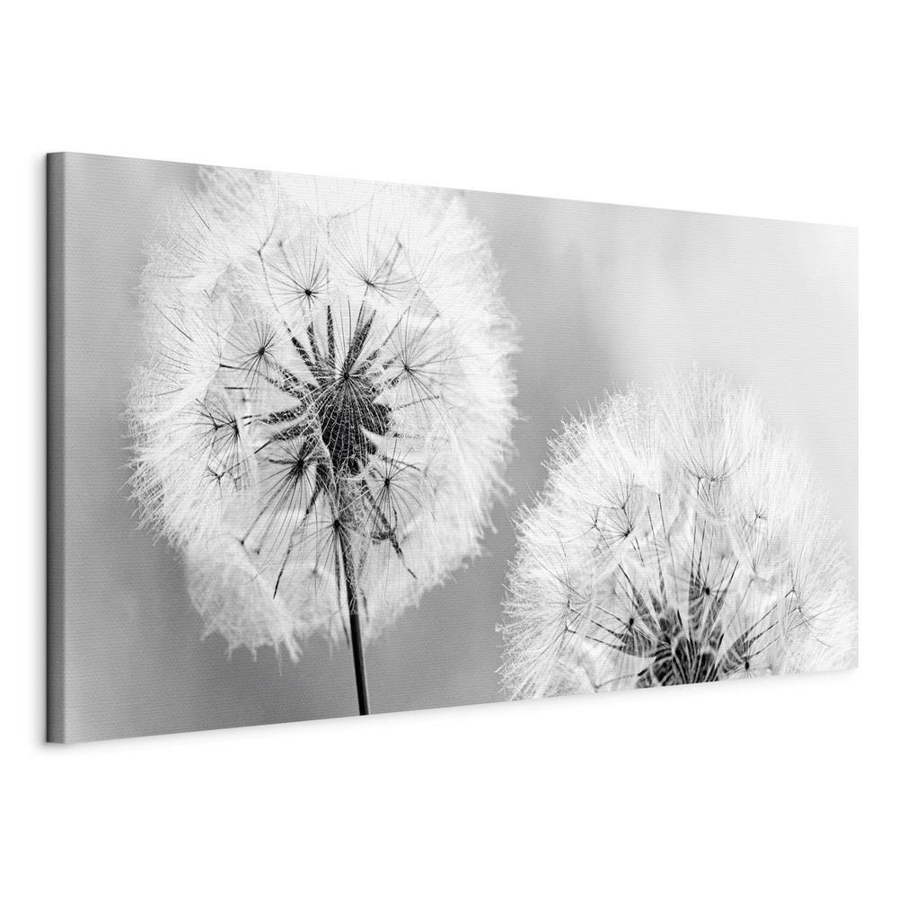 Canvas Print - Fluffy Dandelions (1 Part) Grey Wide-ArtfulPrivacy-Wall Art Collection