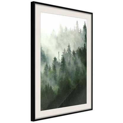 Framed Art - Steaming Forest-artwork for wall with acrylic glass protection