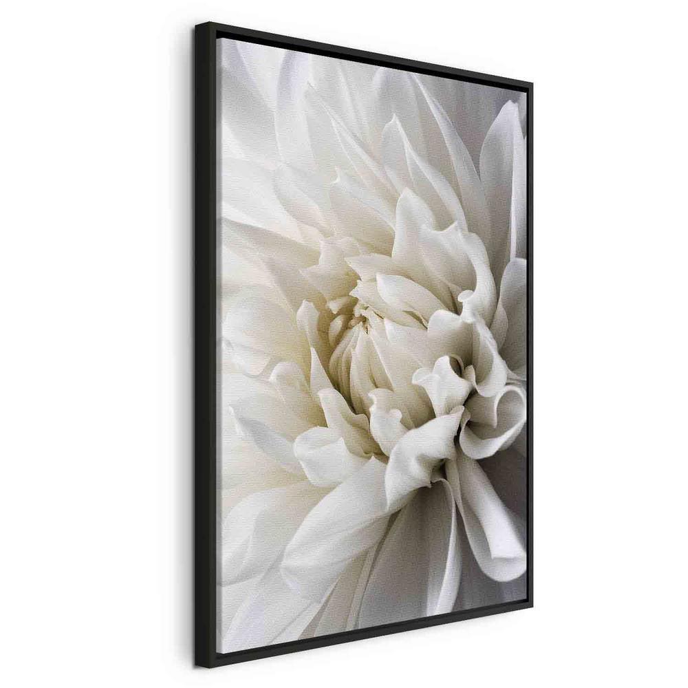 Canvas Print - White Dahlia