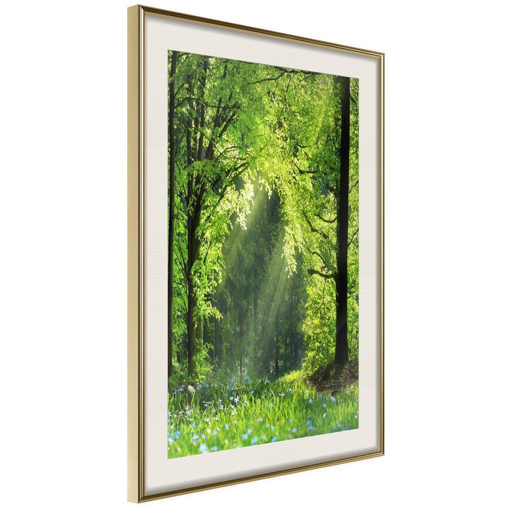 Framed Art - Forest Path-artwork for wall with acrylic glass protection