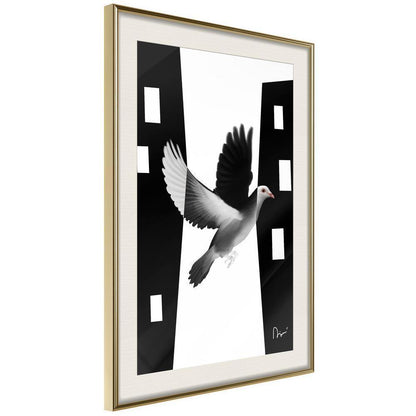 Frame Wall Art - Caught in Flight-artwork for wall with acrylic glass protection