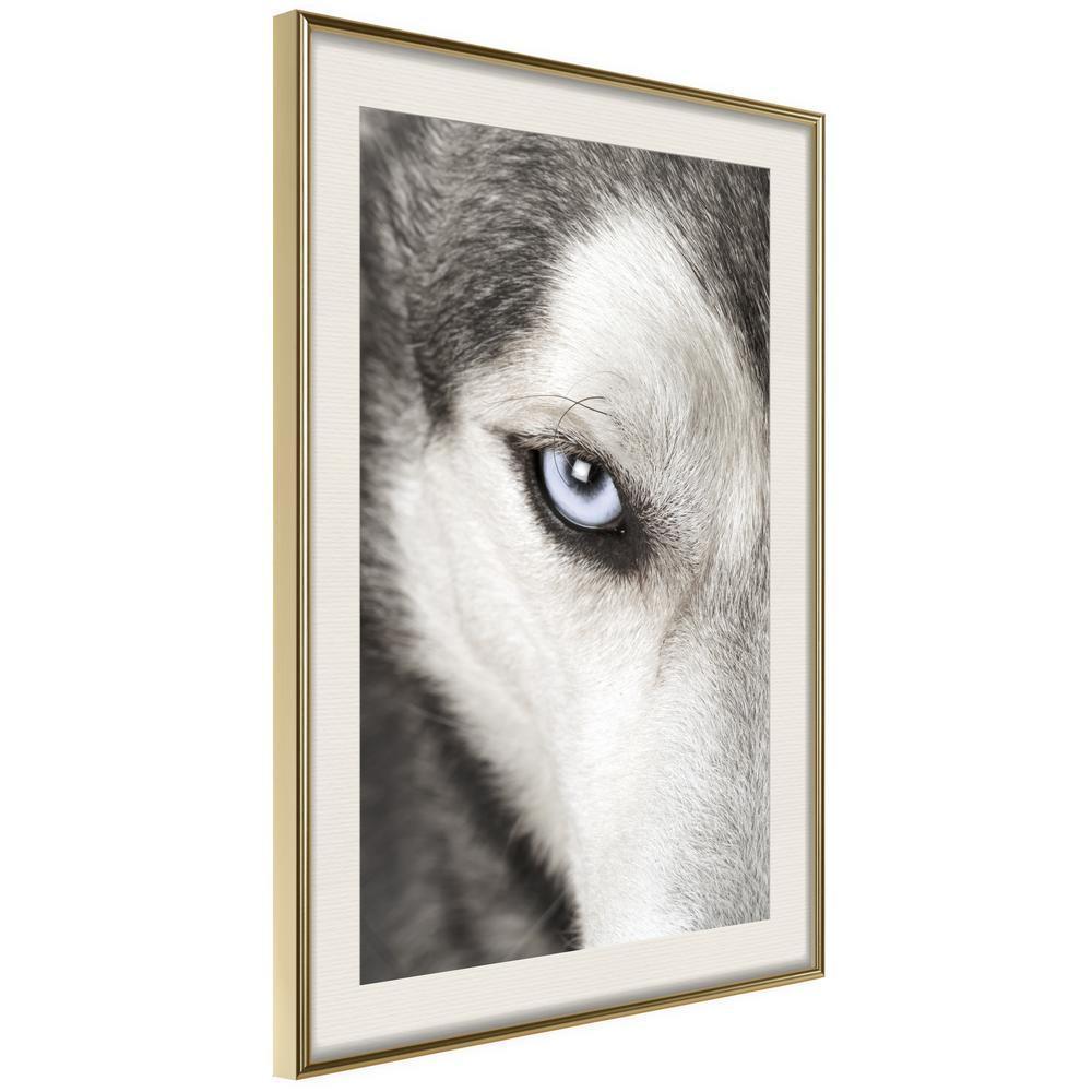 Frame Wall Art - Azure Eye-artwork for wall with acrylic glass protection