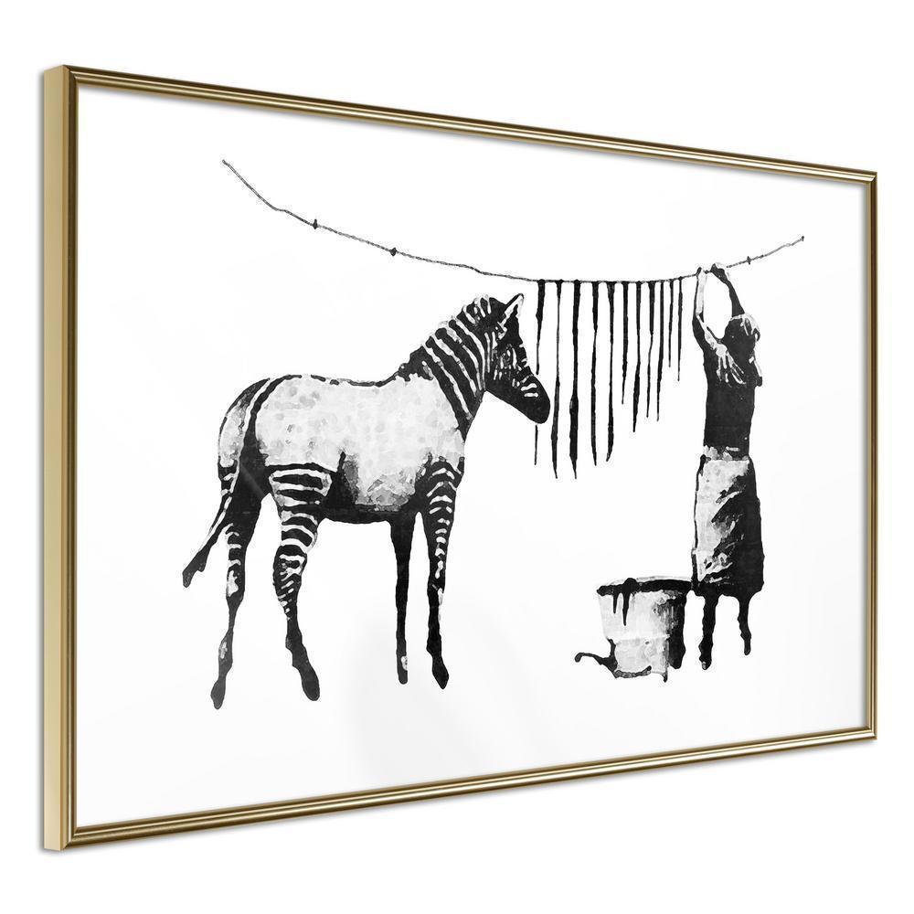 Urban Art Frame - Banksy: Washing Zebra Stripes-artwork for wall with acrylic glass protection