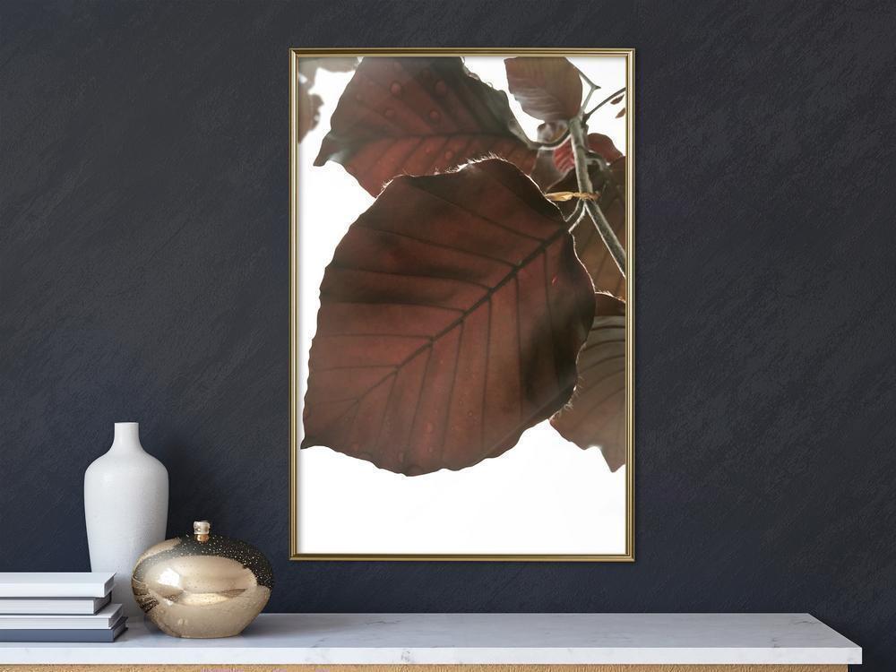 Autumn Framed Poster - Burgundy Tilia Leaf-artwork for wall with acrylic glass protection