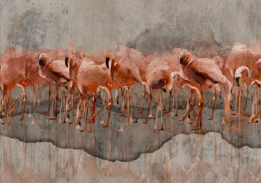 Wall Mural - Exotic birds - pink flamingos with shadow on grey concrete background-Wall Murals-ArtfulPrivacy