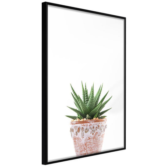 Botanical Wall Art - Piece of Nature III-artwork for wall with acrylic glass protection