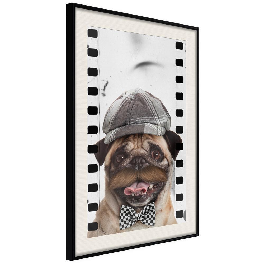 Frame Wall Art - Dressed Up Pug-artwork for wall with acrylic glass protection
