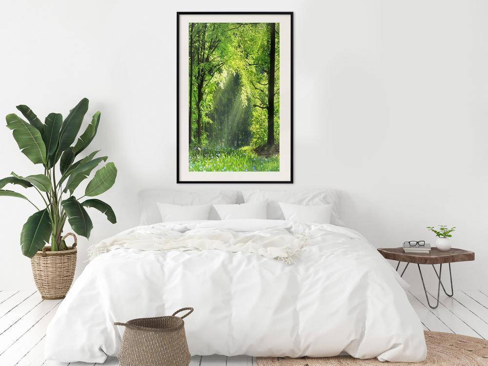 Framed Art - Forest Path-artwork for wall with acrylic glass protection