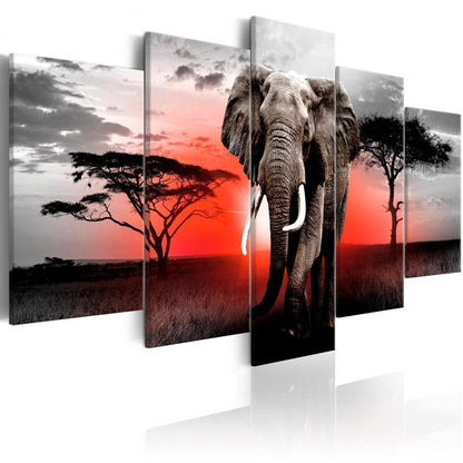 Canvas Print - Lonely Elephant-ArtfulPrivacy-Wall Art Collection