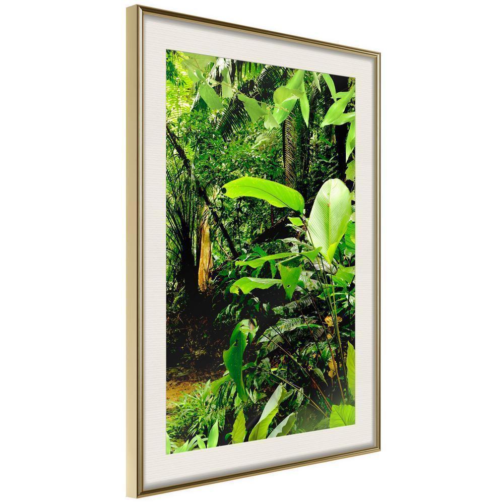 Framed Art - In the Rainforest-artwork for wall with acrylic glass protection