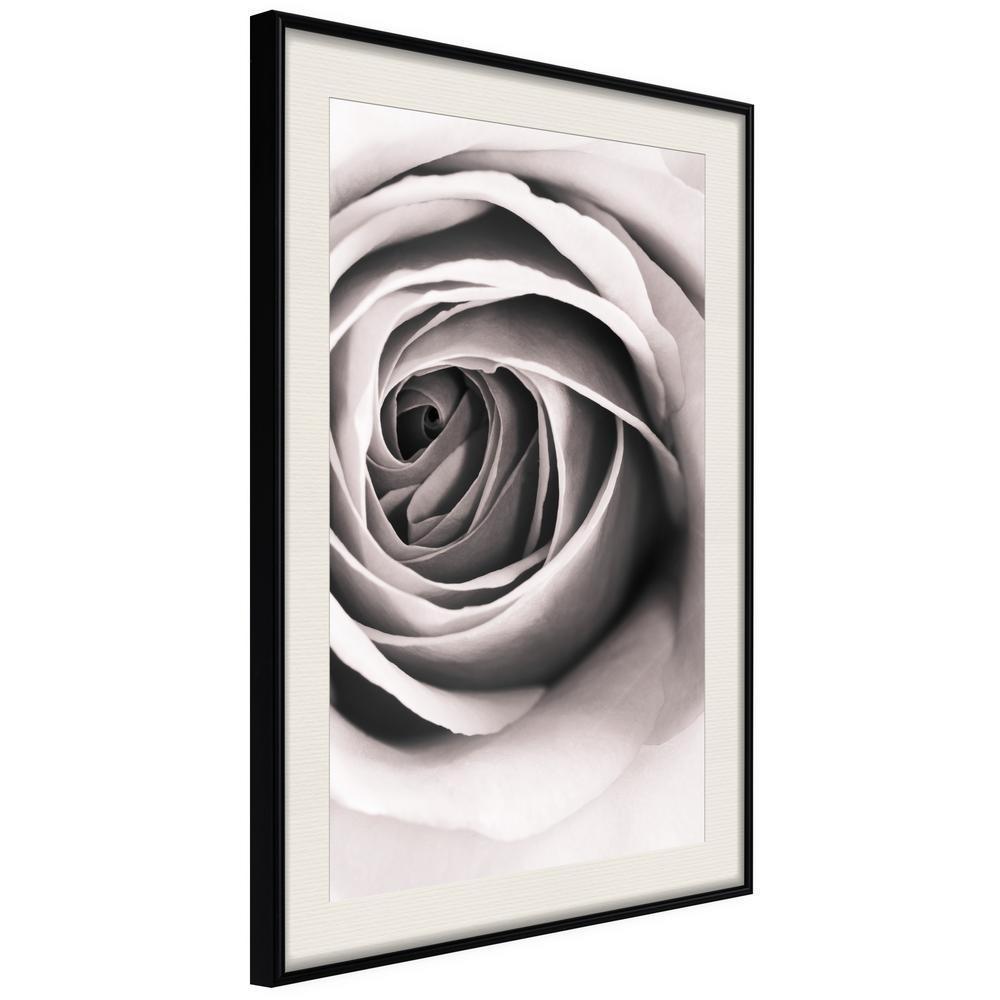 Botanical Wall Art - Structure of Petals-artwork for wall with acrylic glass protection