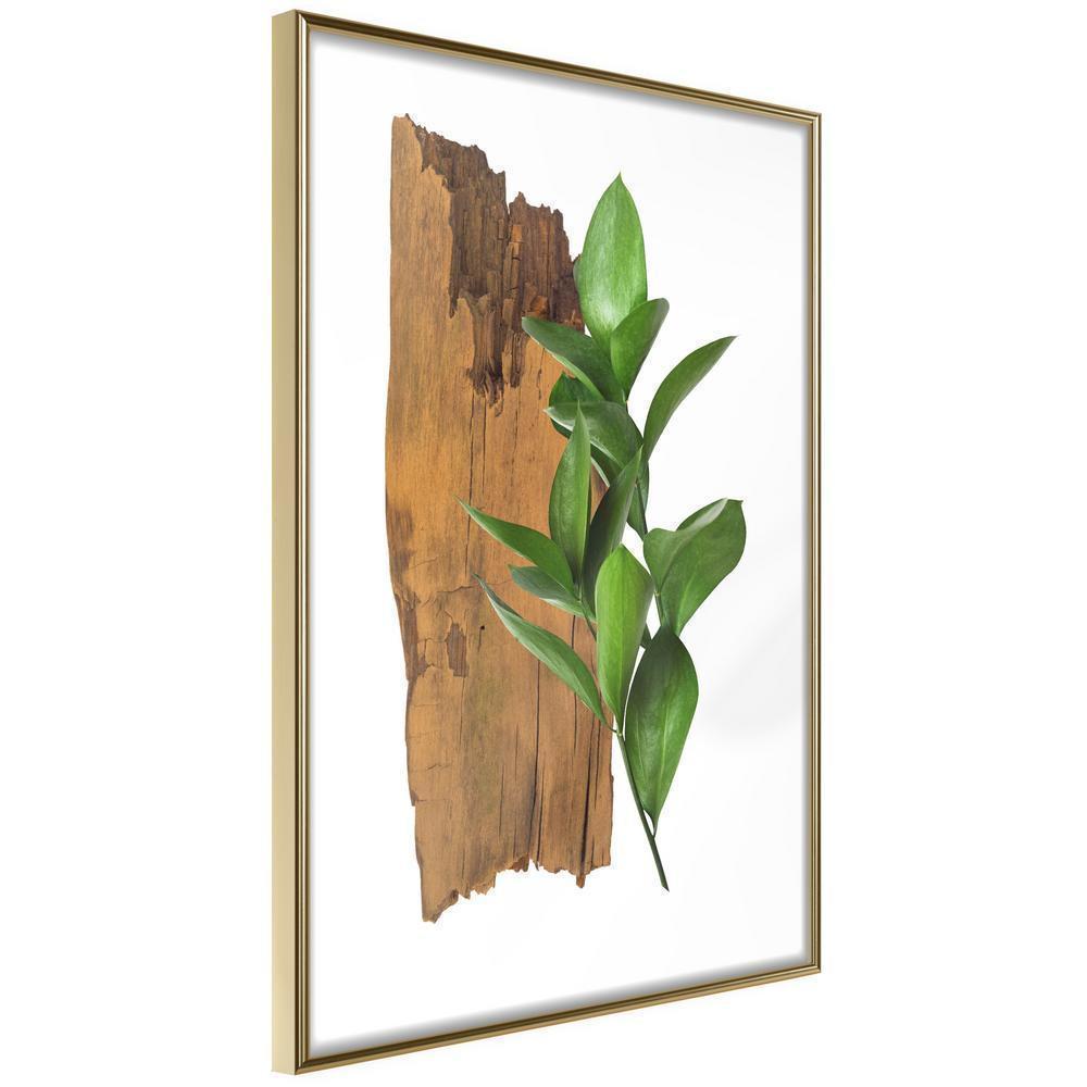 Botanical Wall Art - Forest Bouquet-artwork for wall with acrylic glass protection