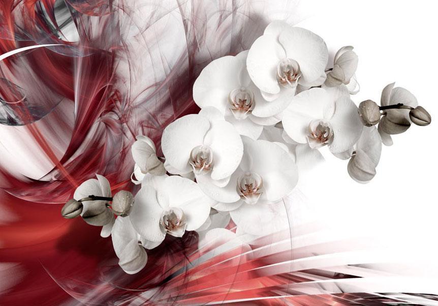 Wall Mural - Orchid in red-Wall Murals-ArtfulPrivacy