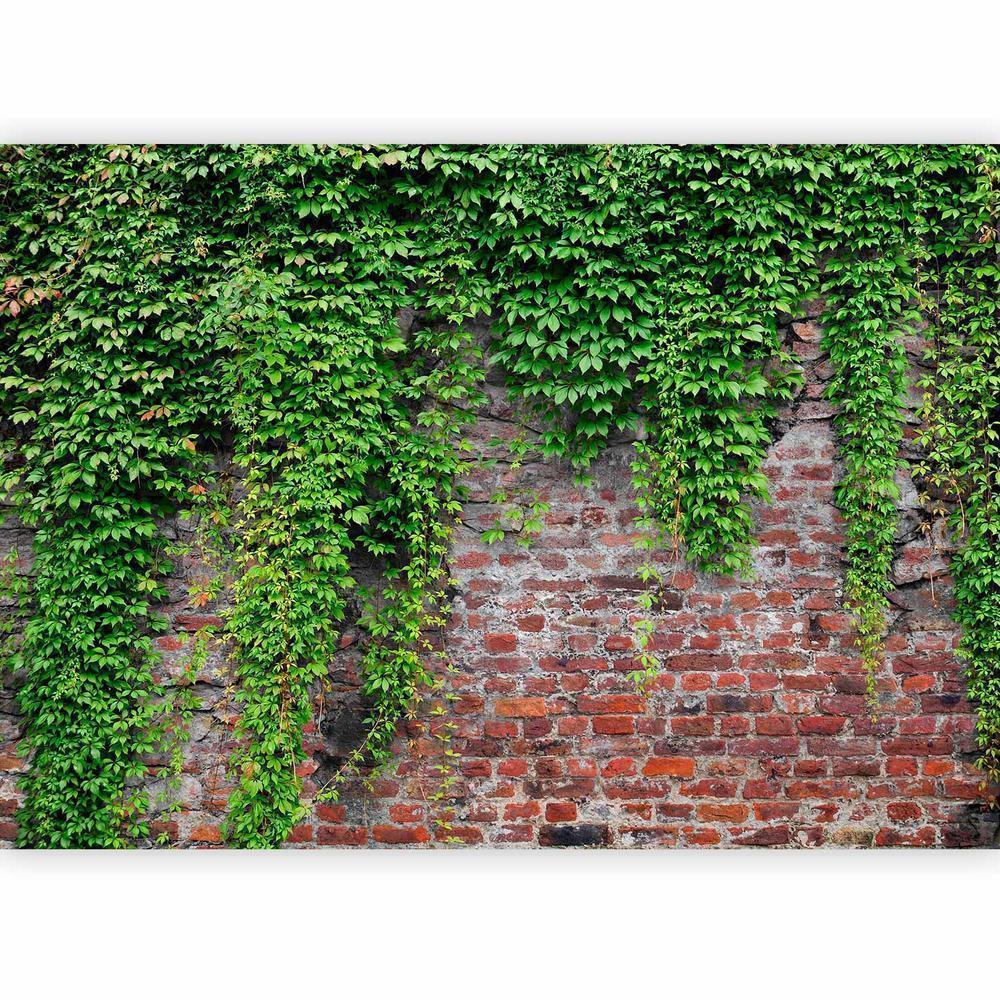 Wall Mural - Brick and ivy