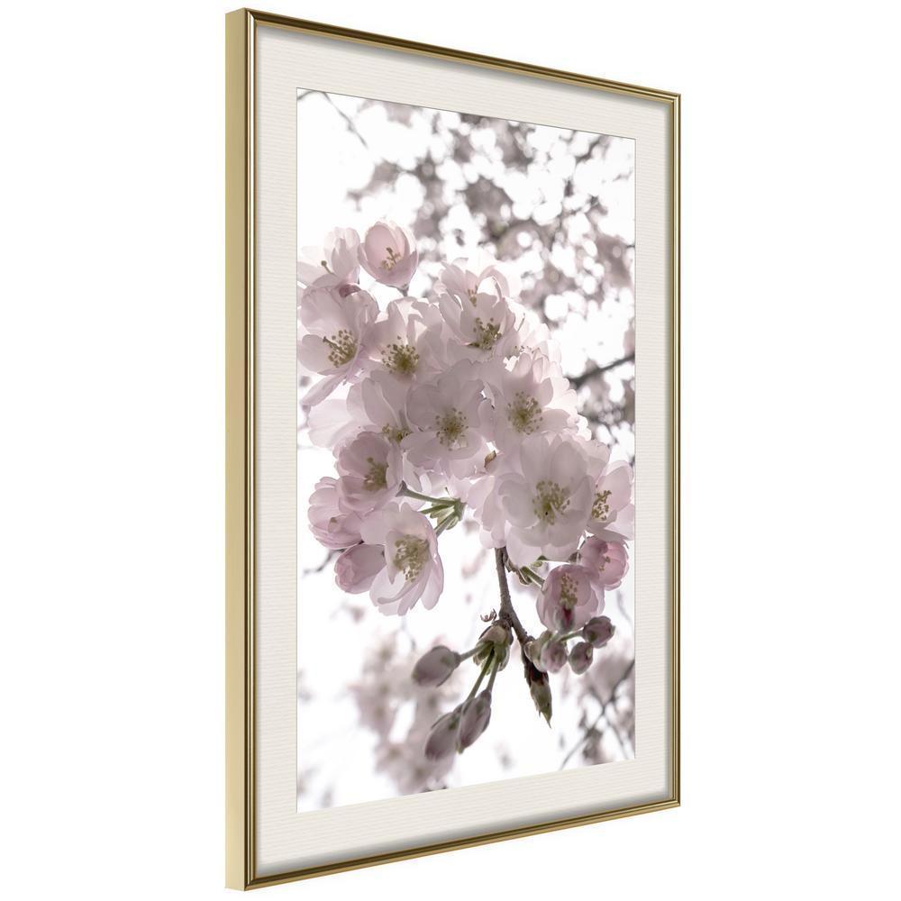 Botanical Wall Art - Spring Visit-artwork for wall with acrylic glass protection