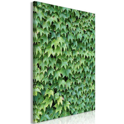 Canvas Print - Thick Ivy (1 Part) Vertical-ArtfulPrivacy-Wall Art Collection