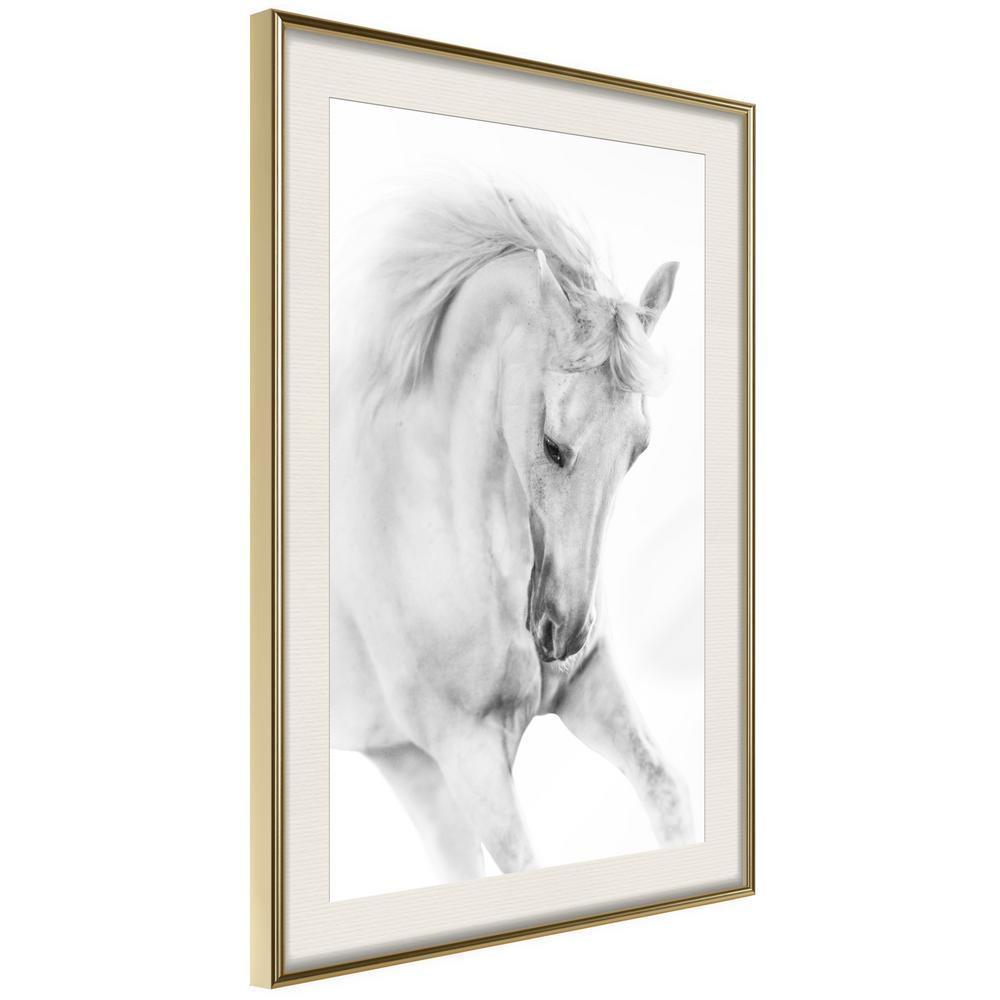 Frame Wall Art - Beauty in Motion-artwork for wall with acrylic glass protection