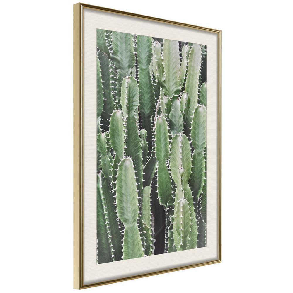 Botanical Wall Art - Cactus Plantation-artwork for wall with acrylic glass protection