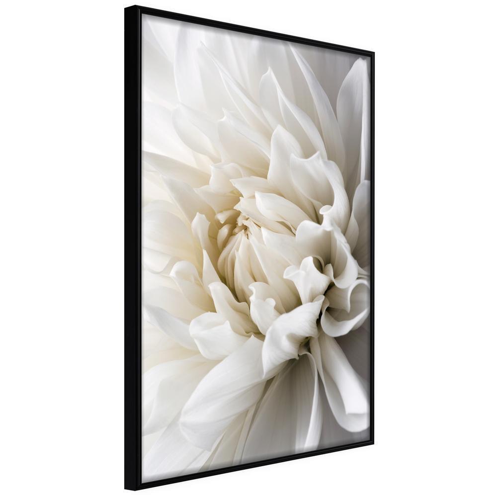 Botanical Wall Art - Peace of Mind-artwork for wall with acrylic glass protection