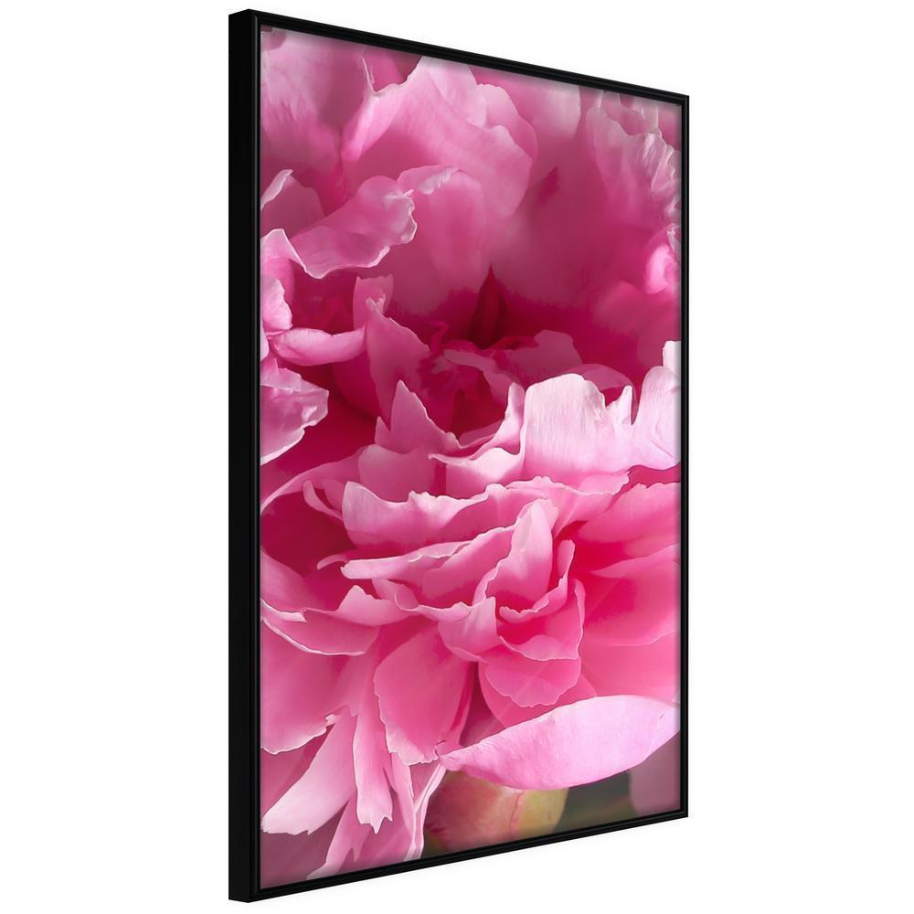 Botanical Wall Art - Magenta Madness-artwork for wall with acrylic glass protection