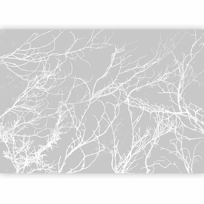 Wall Mural - White Trees