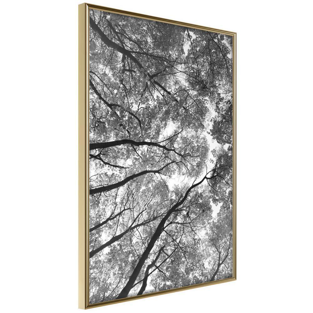 Botanical Wall Art - Lying on the Grass-artwork for wall with acrylic glass protection