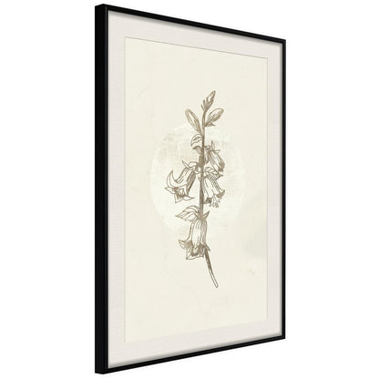 Botanical Wall Art - Beige Campanula-artwork for wall with acrylic glass protection