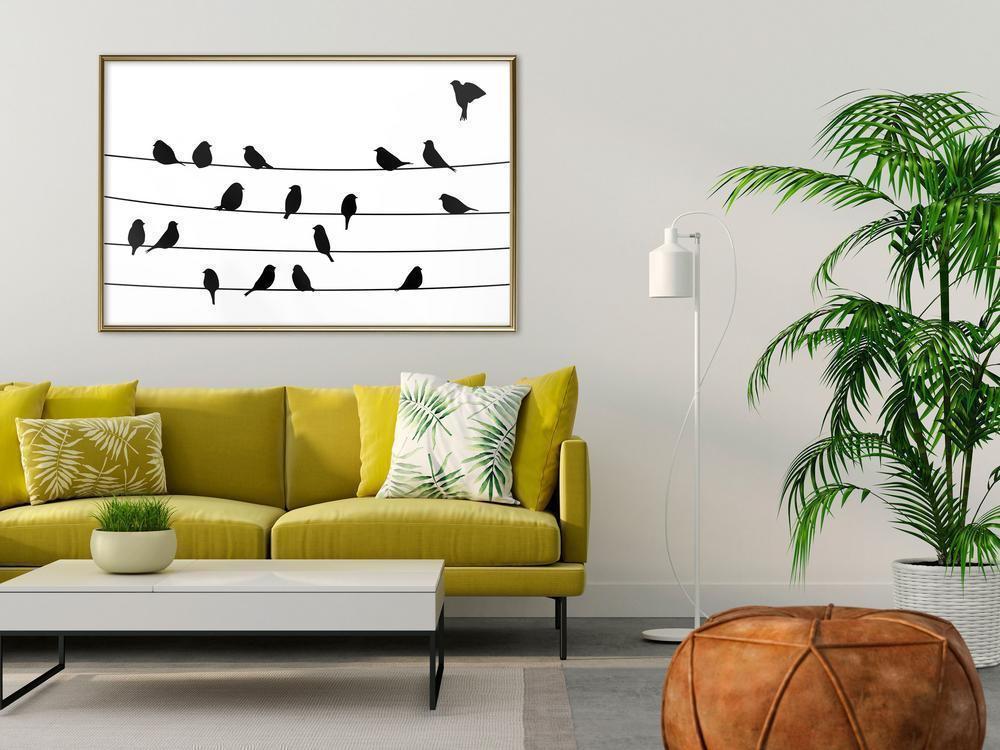 Black and White Framed Poster - Birds Council Meeting-artwork for wall with acrylic glass protection