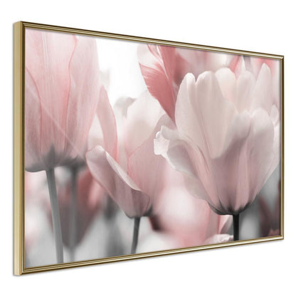 Botanical Wall Art - Pastel Tulips II-artwork for wall with acrylic glass protection