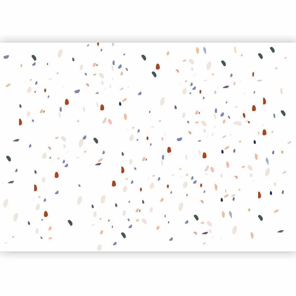 Wall Mural - Classic Terrazzo on White Background