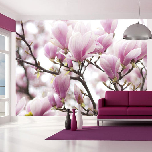 Wall Mural - Magnolia bloosom-Wall Murals-ArtfulPrivacy
