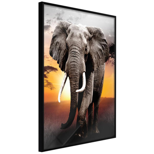 Frame Wall Art - Majestic Elephant-artwork for wall with acrylic glass protection