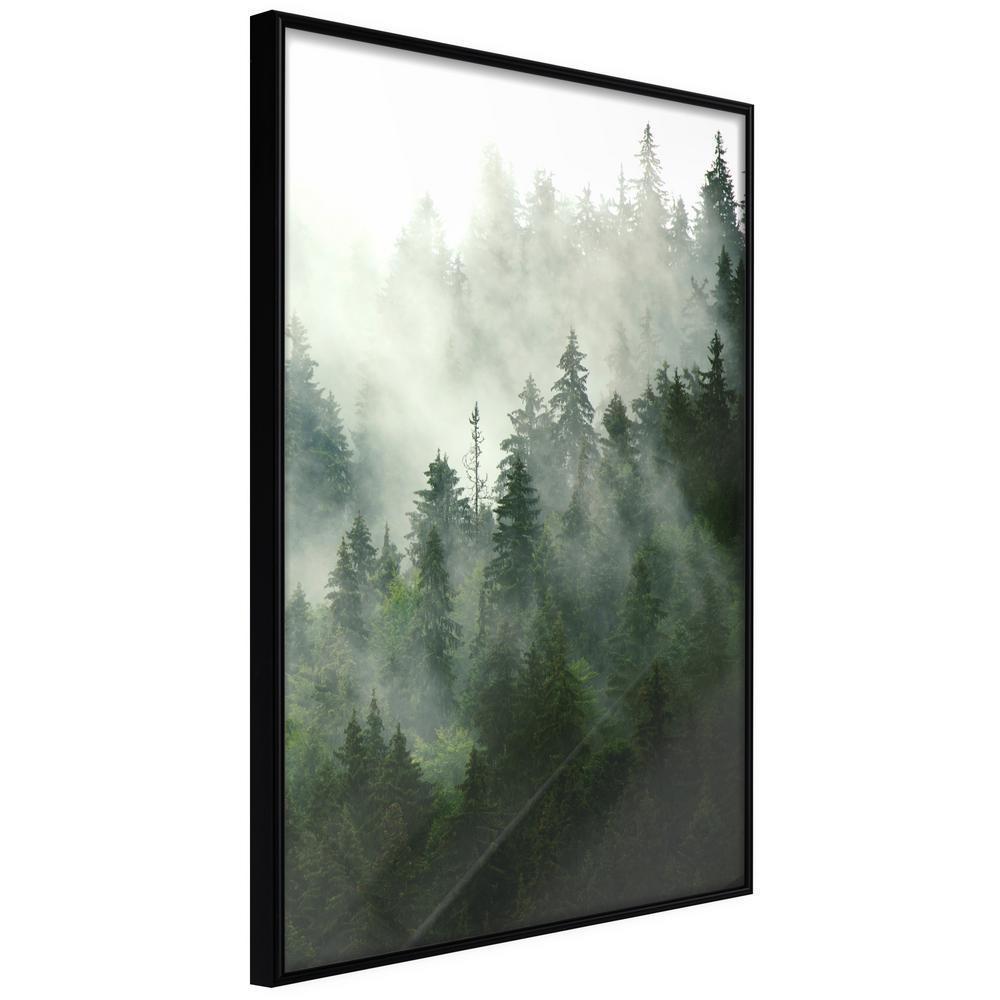 Framed Art - Steaming Forest-artwork for wall with acrylic glass protection